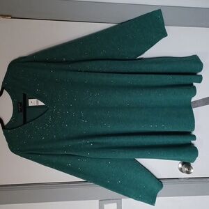 NWT Plus-Size Swing Sparkle V-Neck Tunic!